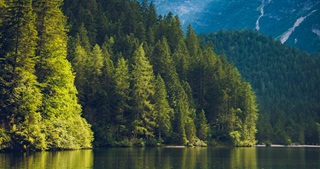 Sustainability