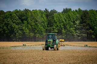 Agriculture Sector